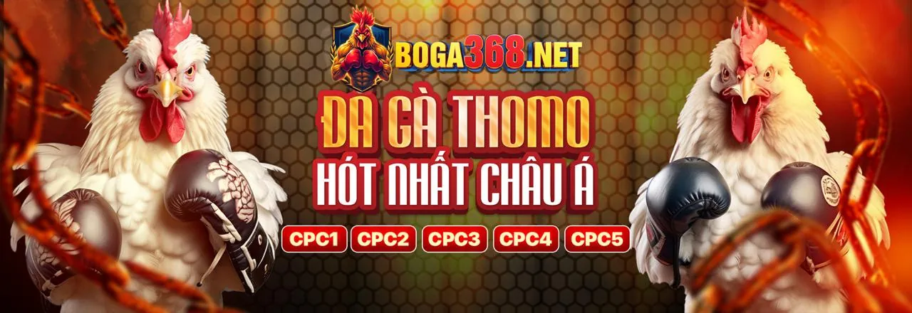 Đá Gà Trực Tuyến 999ok Đăng Nhập