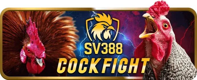 Biểu tượng hoàn trả tiền thua cược cho thành viên VIP 999ok