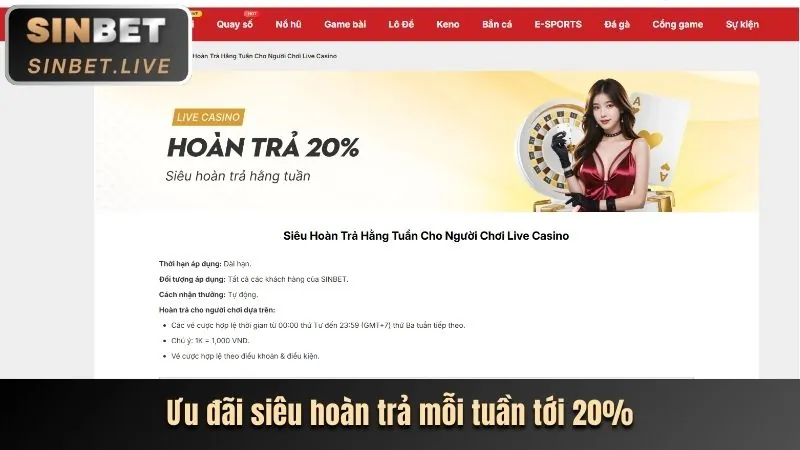 Giao diện cá cược trực tiếp 999ok